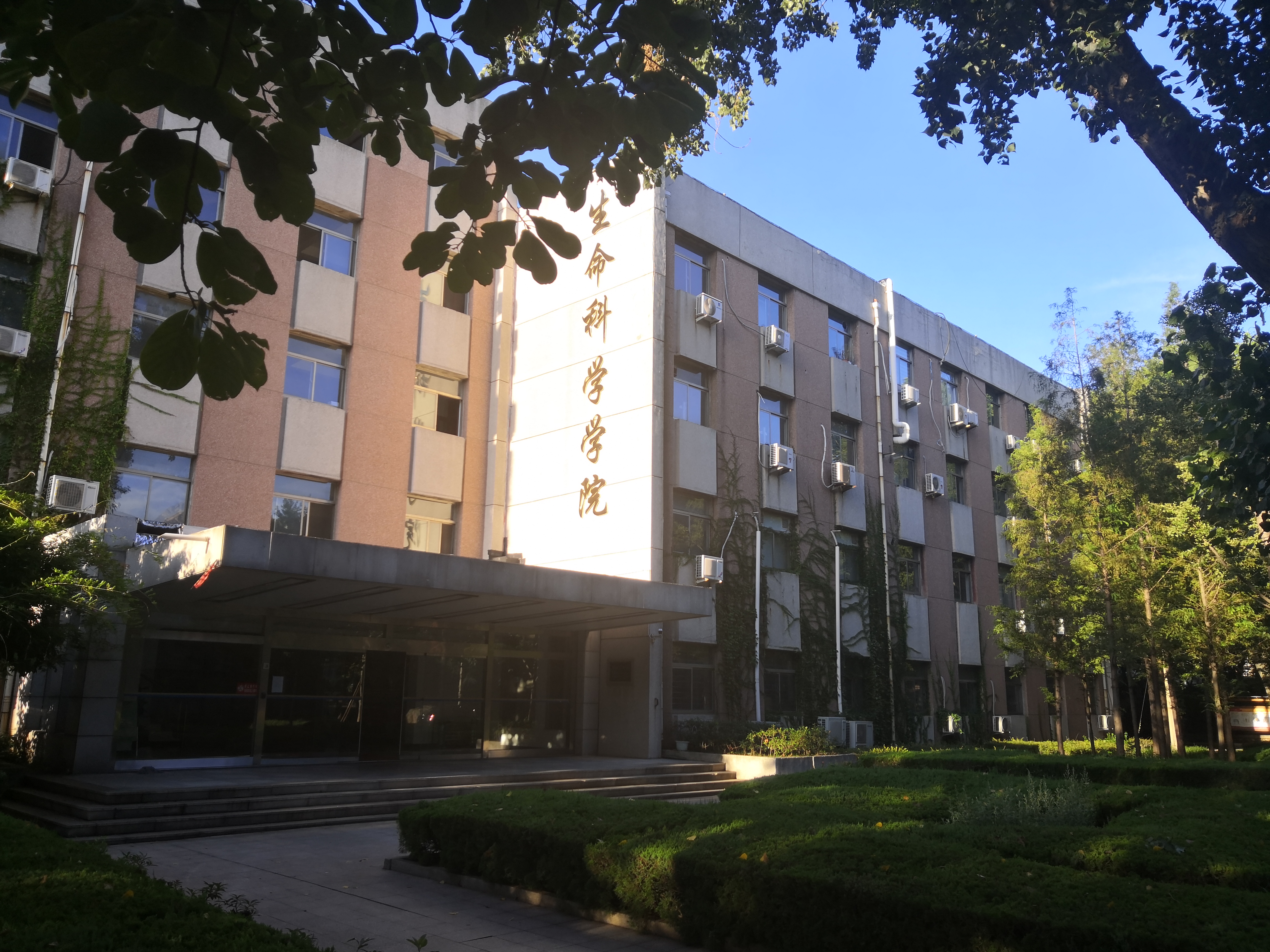 365英国上市官网