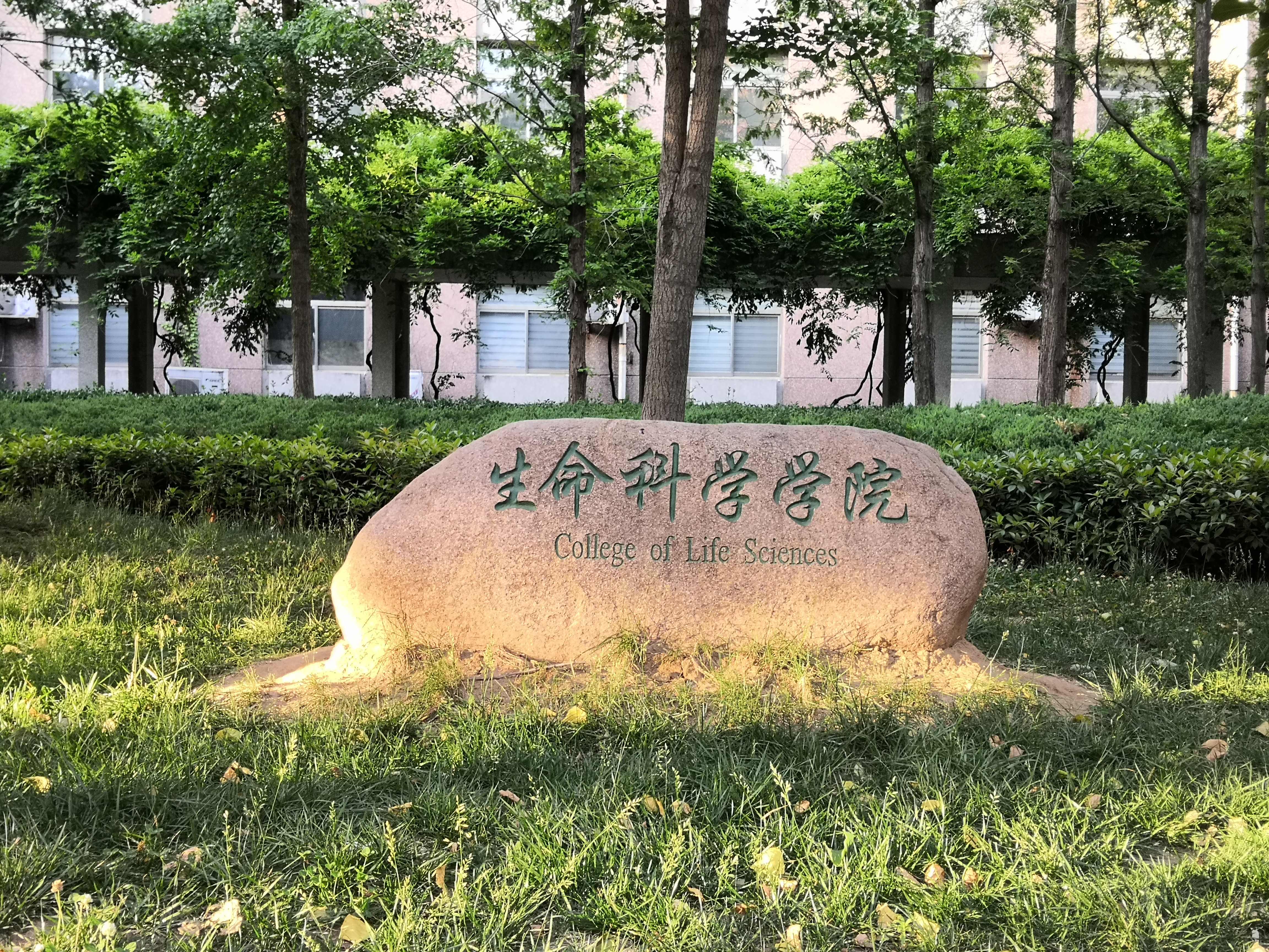 365英国上市官网
