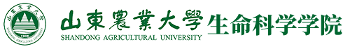 365英国上市官网